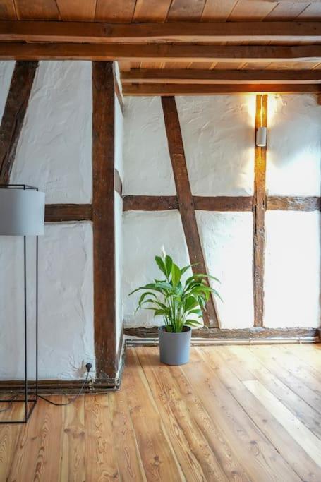 Charmante Fachwerk Wohnung Mit Terrasse In Der Altstadt Koblenz  Exterior foto